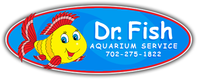 Dr Fish Aquarium Service - Aquarium Sales, Installation & Cleaning Services  in Las Vegas, NV